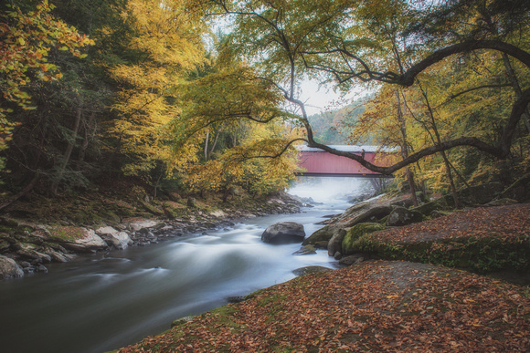 Trees frame the covered bridge at McConnells Mill State Park