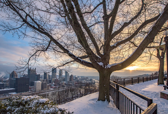 A tree frames Pittsburgh in the snow