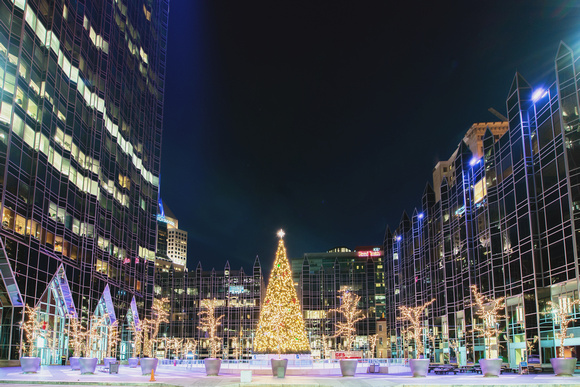An empty plaza around the Christmas tree at PPG Place