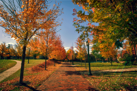 Path behind library at Allegheny College HDR