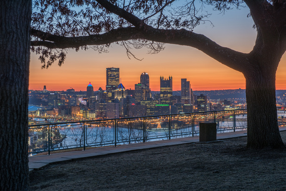 Trees frame the Pittsburgh skyline at dawn