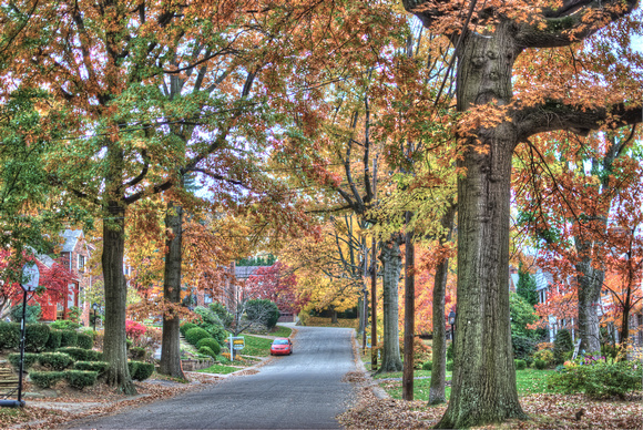 Neighborhood street in fall HDR
