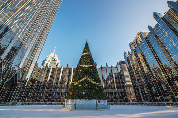 The Christmas tree at PPG Place in Pittsburgh