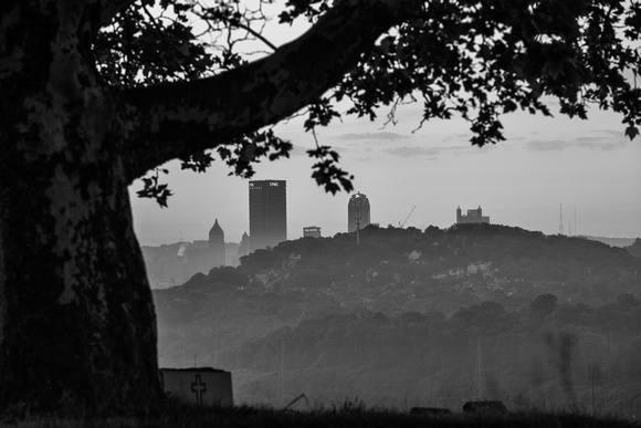 Pittsburgh framed by a tree from McKees Rocks in B&W