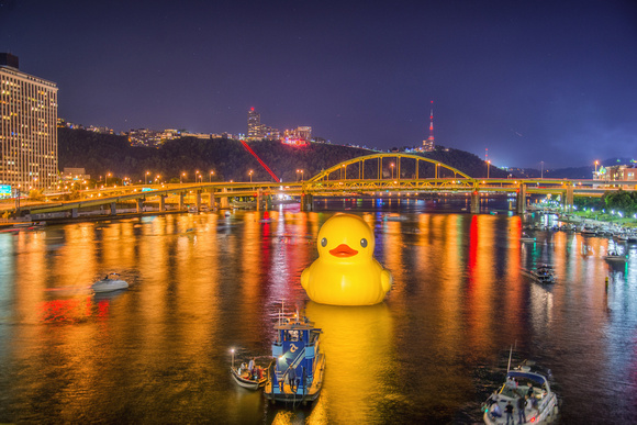 The Giant Rubber Duck in Pittsburgh sits on the Allegheny River at night