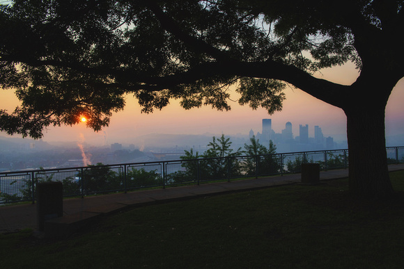 Pittsburgh skyline and sun below a tree on the West End Overlook