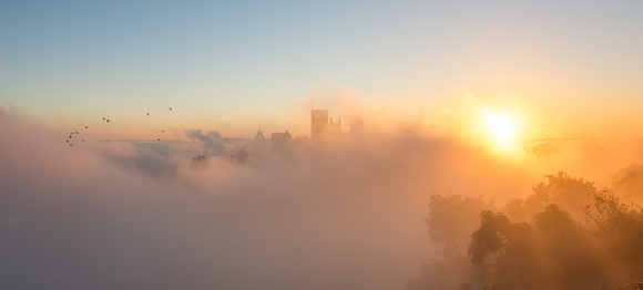 Birds flying above the fog at dawn in Pittsburgh