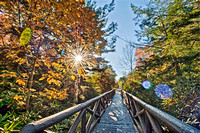 Sunflare over Bridge  at Allegheny College HDR