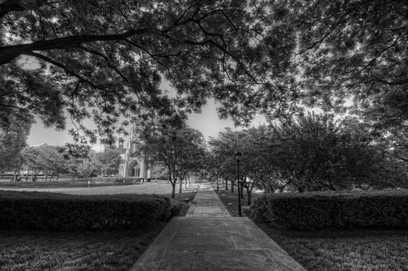 Path towards Heinz Chapel on the campus of the University of Pittsburgh HDR B&W