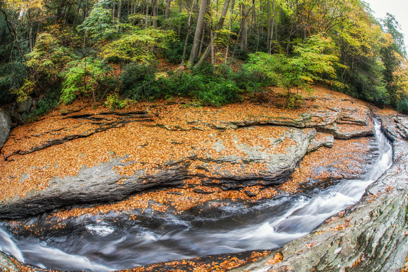 Fisheye view of the leaves around the natural rock slides at Ohiopyle State Park HDR