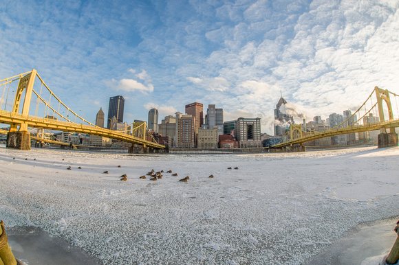 Geese and ice on the Allegheny River in Pittsburgh from the North Shore in winter