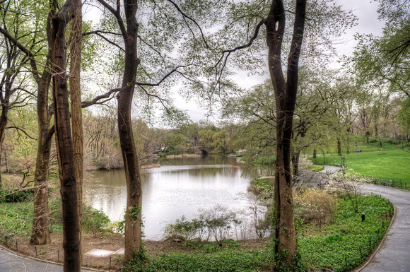 View of the Pond in Central Park HDR