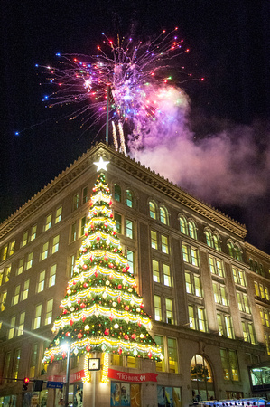 Fireworks go off over the Horne's Tree in Pittsburgh