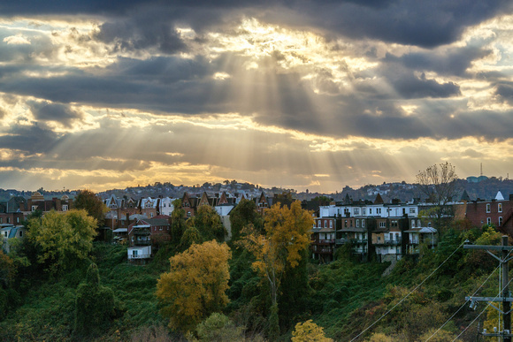 Sunlight over the houses in the fall in Oakland