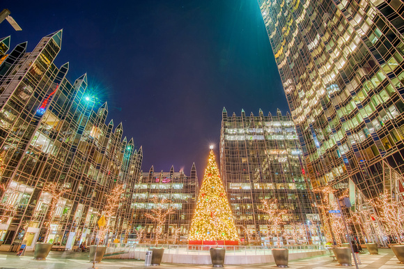 A night shot of the Christmas tree at PPG Place HDR