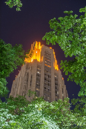 The Victory Lights atop the Cathedral of Learning through the trees