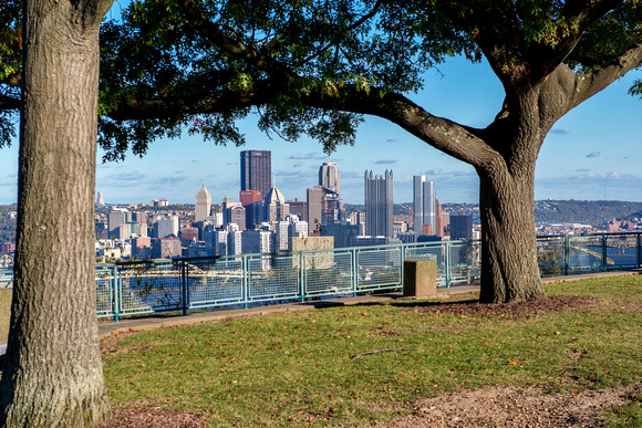 A tree on the West End Overlook frames the fall Pittsburgh skyline