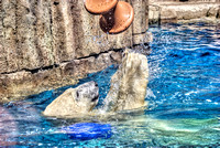 Polar bear playing at the Pittsburgh Zoo